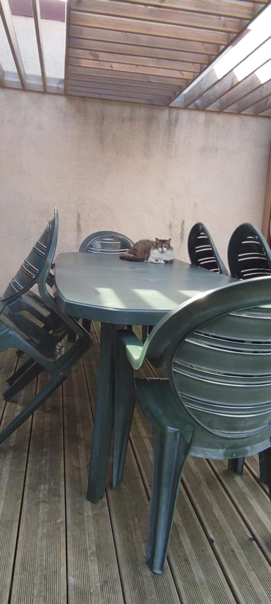 Berck Maison De Vacances Avec Terrasse Et Jardin, Ngoại thất bức ảnh